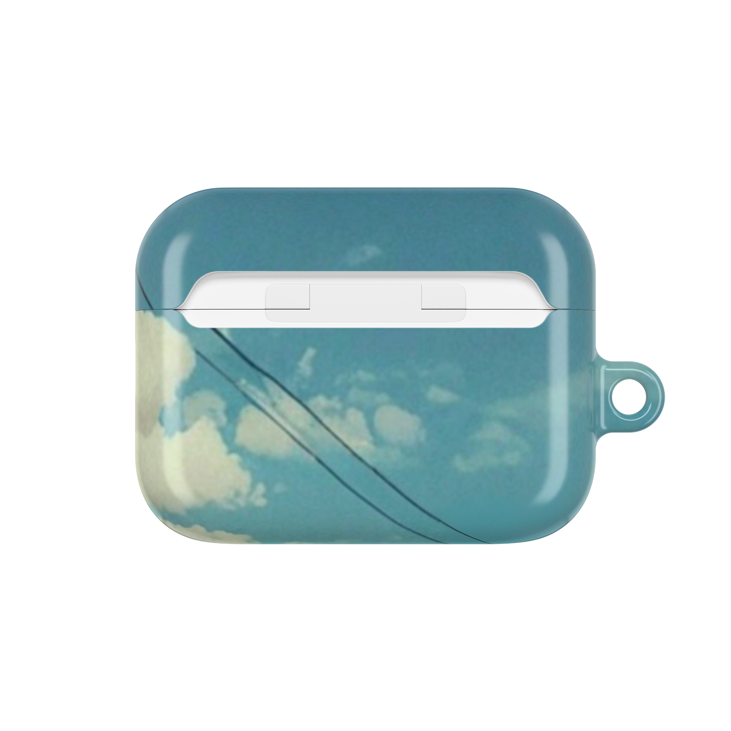 "Field Trip" AirPodCase